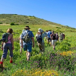 Walk the Orwell Path
